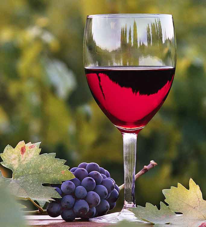 How To Get The Best Wine Deals For Yourself